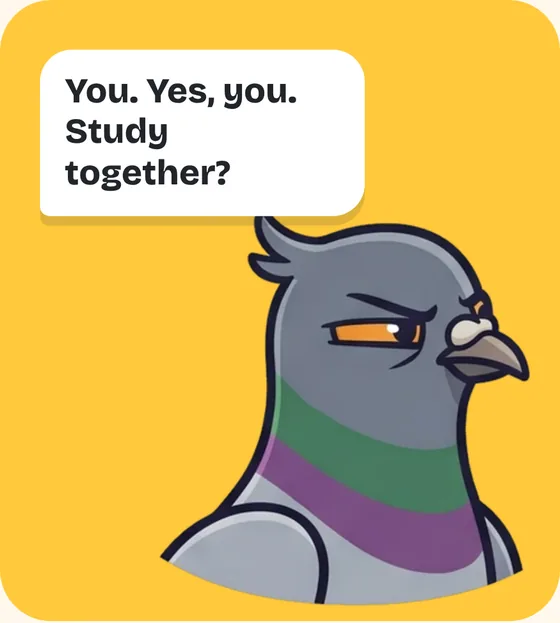 Gérard looks at you: "You. Yes, you. Study together?"
