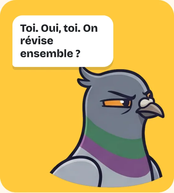 Gérard te regarde : « Toi. Oui, toi. On révise ensemble ? »